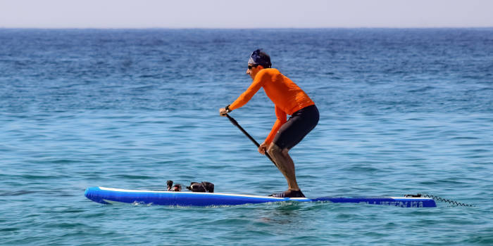 Paddle boards Rentals Destin Crab Island FL